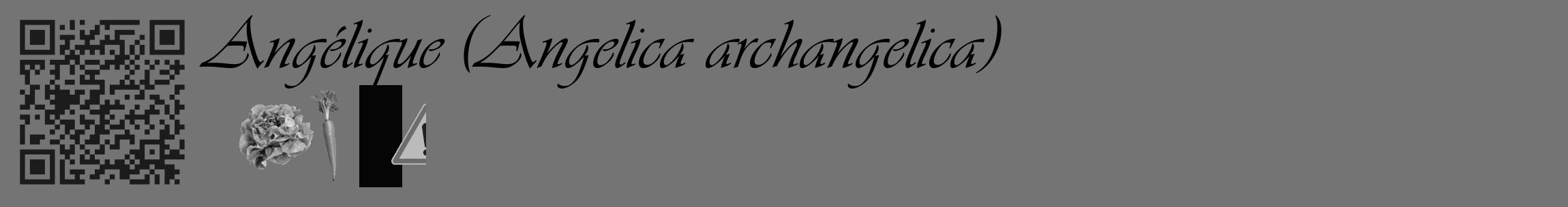 Étiquette de : Angelica archangelica - format c - style noire26_basique_basiqueviv avec qrcode et comestibilité simplifiée