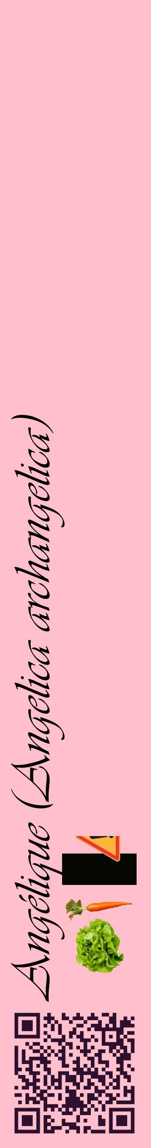 Étiquette de : Angelica archangelica - format c - style noire40_basiqueviv avec qrcode et comestibilité simplifiée
