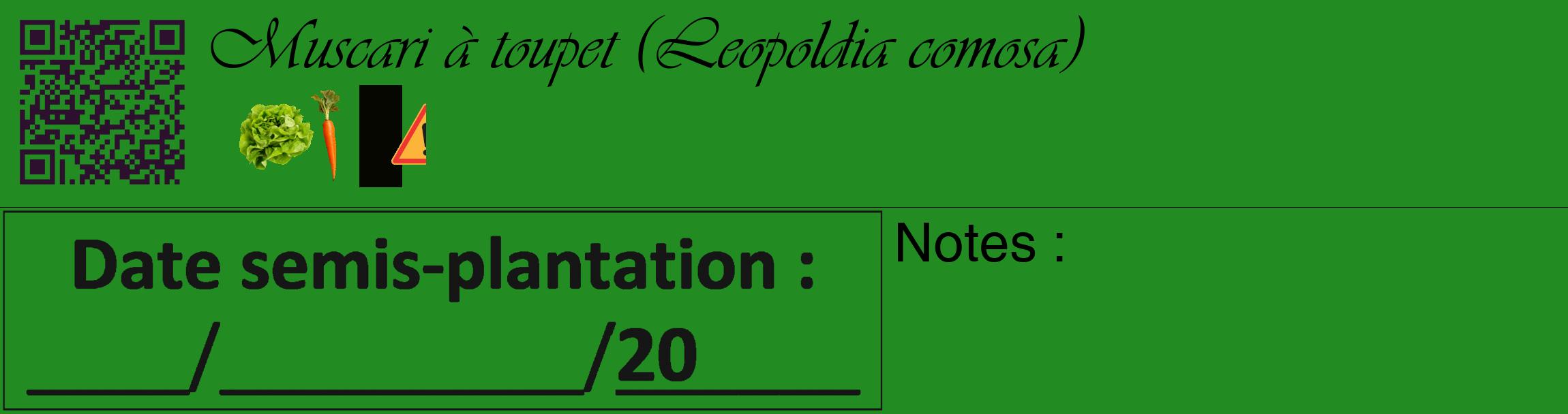 Étiquette de : Leopoldia comosa - format c - style noire10_basique_basiqueviv avec qrcode et comestibilité simplifiée