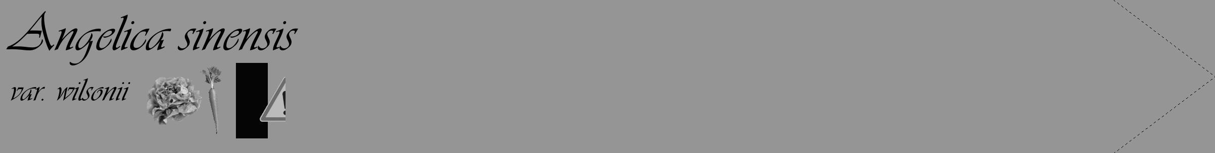 Étiquette de : Angelica sinensis var. wilsonii - format c - style noire16_simple_simpleviv avec comestibilité simplifiée