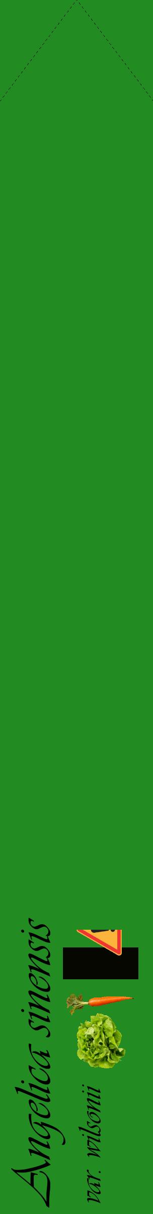 Étiquette de : Angelica sinensis var. wilsonii - format c - style noire10_simpleviv avec comestibilité simplifiée