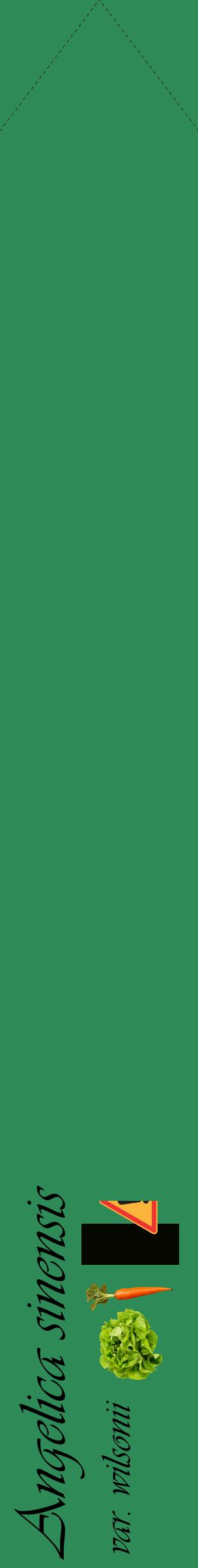 Étiquette de : Angelica sinensis var. wilsonii - format c - style noire11_simpleviv avec comestibilité simplifiée