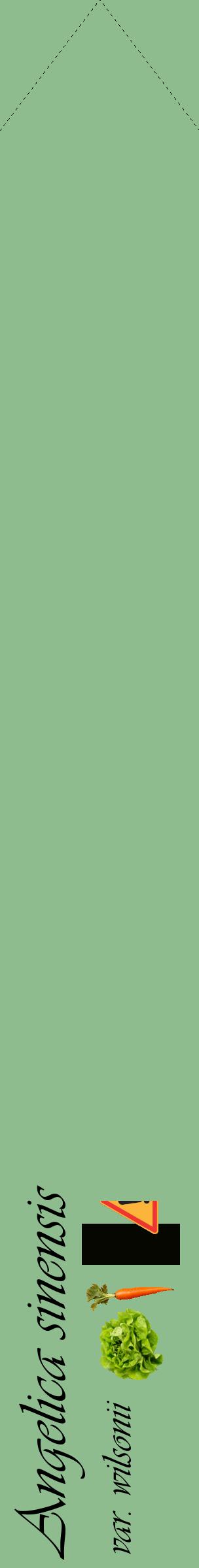 Étiquette de : Angelica sinensis var. wilsonii - format c - style noire13_simpleviv avec comestibilité simplifiée