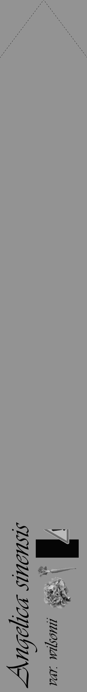 Étiquette de : Angelica sinensis var. wilsonii - format c - style noire44_simple_simpleviv avec comestibilité simplifiée - position verticale