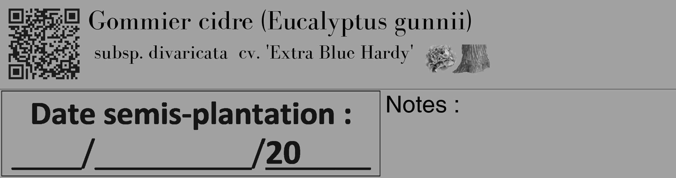 Étiquette de : Eucalyptus gunnii subsp. divaricata  cv. 'Extra Blue Hardy' - format c - style noire38_basique_basiquebod avec qrcode et comestibilité simplifiée