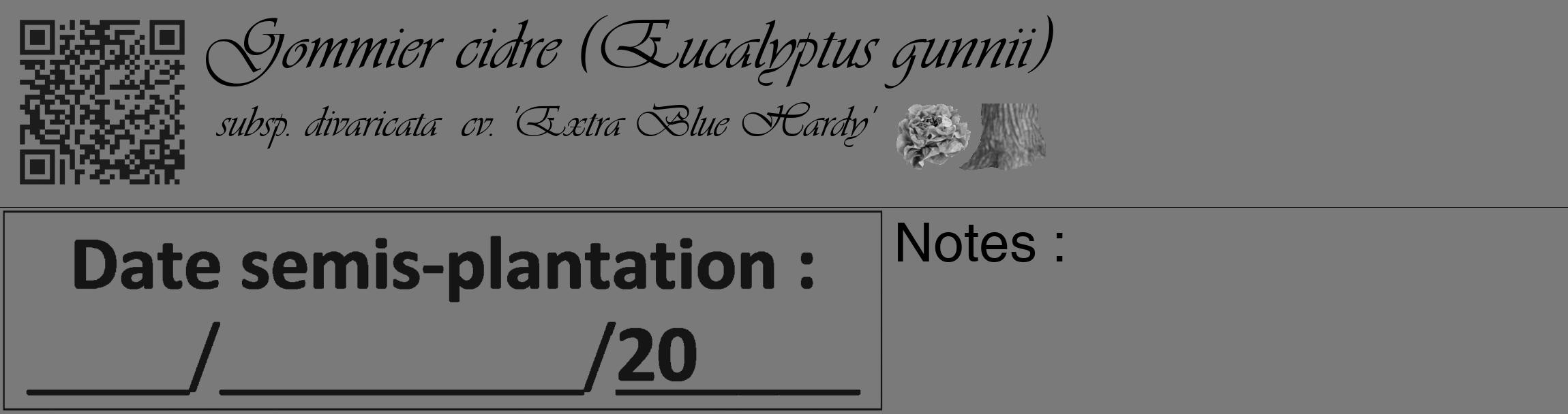 Étiquette de : Eucalyptus gunnii subsp. divaricata  cv. 'Extra Blue Hardy' - format c - style noire3_basique_basiqueviv avec qrcode et comestibilité simplifiée