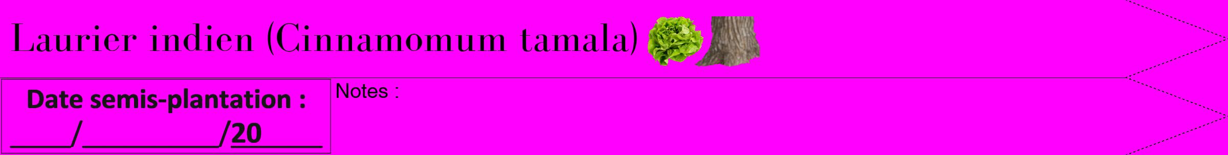 Étiquette de : Cinnamomum tamala - format b - style noire51simplebod avec comestibilité simplifiée
