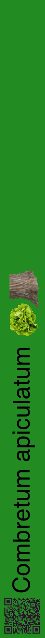 Étiquette de : Combretum apiculatum - format a - style noire10hel avec qrcode et comestibilité simplifiée