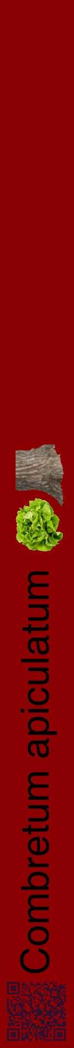 Étiquette de : Combretum apiculatum - format a - style noire34hel avec qrcode et comestibilité simplifiée