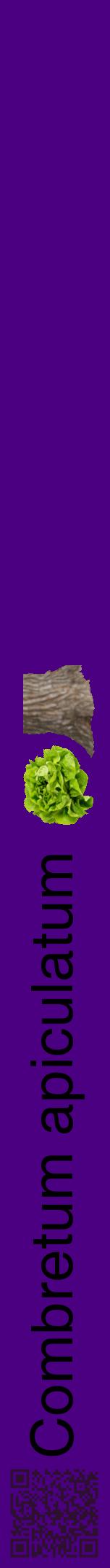 Étiquette de : Combretum apiculatum - format a - style noire47hel avec qrcode et comestibilité simplifiée