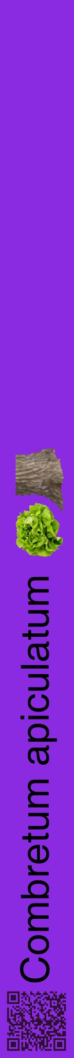 Étiquette de : Combretum apiculatum - format a - style noire49hel avec qrcode et comestibilité simplifiée