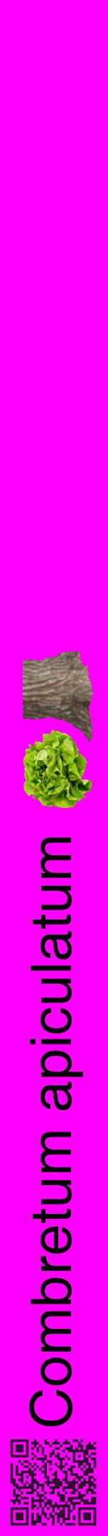 Étiquette de : Combretum apiculatum - format a - style noire51hel avec qrcode et comestibilité simplifiée