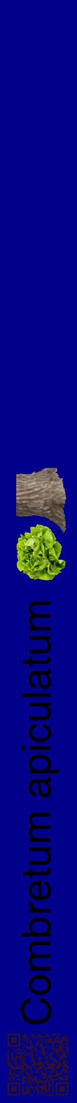Étiquette de : Combretum apiculatum - format a - style noire7hel avec qrcode et comestibilité simplifiée