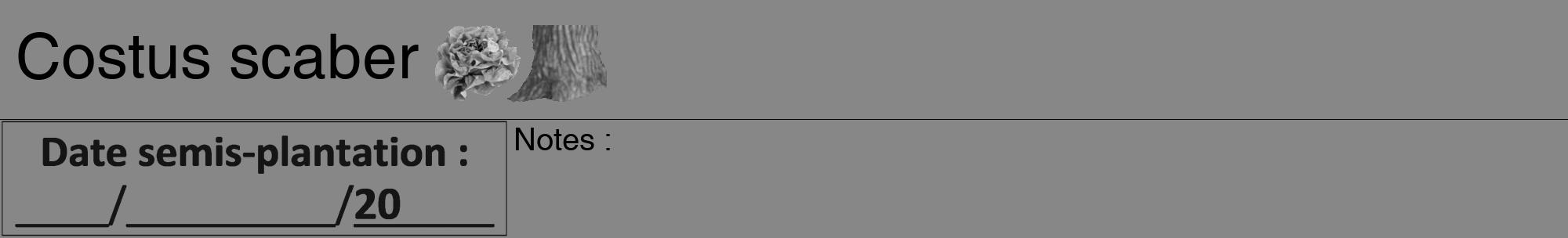 Étiquette de : Costus scaber - format a - style noire12hel avec comestibilité simplifiée