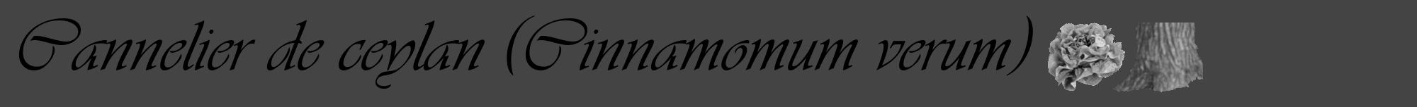 Étiquette de : Cinnamomum verum - format a - style noire48viv avec comestibilité simplifiée