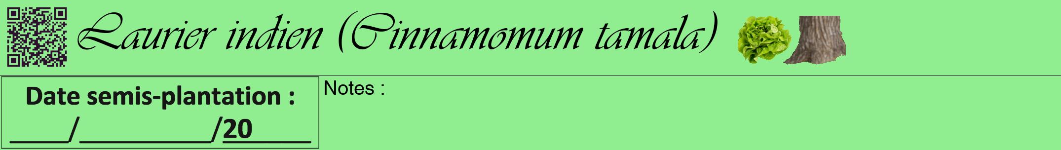 Étiquette de : Cinnamomum tamala - format a - style noire15viv avec qrcode et comestibilité simplifiée