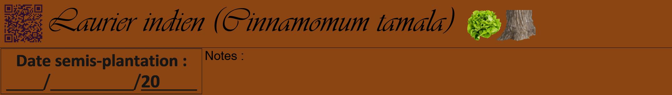Étiquette de : Cinnamomum tamala - format a - style noire30viv avec qrcode et comestibilité simplifiée