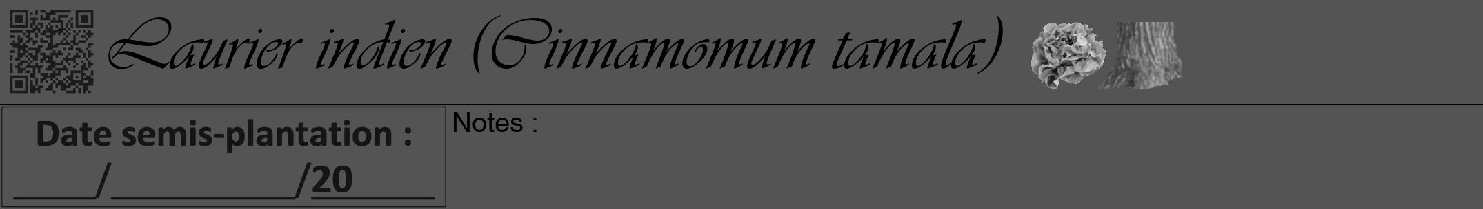 Étiquette de : Cinnamomum tamala - format a - style noire30viv avec qrcode et comestibilité simplifiée