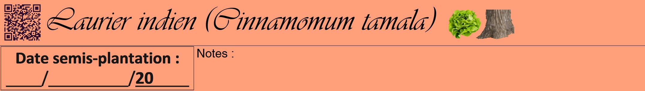 Étiquette de : Cinnamomum tamala - format a - style noire39viv avec qrcode et comestibilité simplifiée