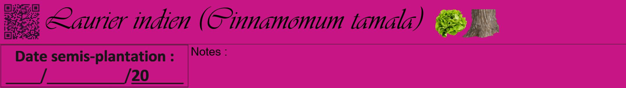 Étiquette de : Cinnamomum tamala - format a - style noire45viv avec qrcode et comestibilité simplifiée