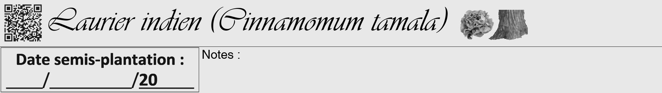 Étiquette de : Cinnamomum tamala - format a - style noire55viv avec qrcode et comestibilité simplifiée