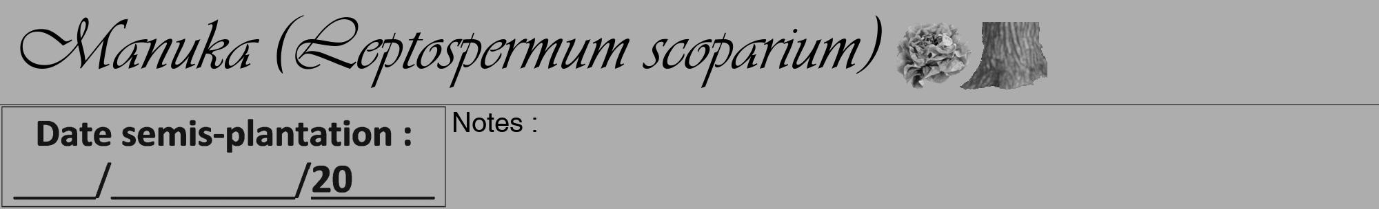 Étiquette de : Leptospermum scoparium - format a - style noire22basiqueviv avec comestibilité simplifiée