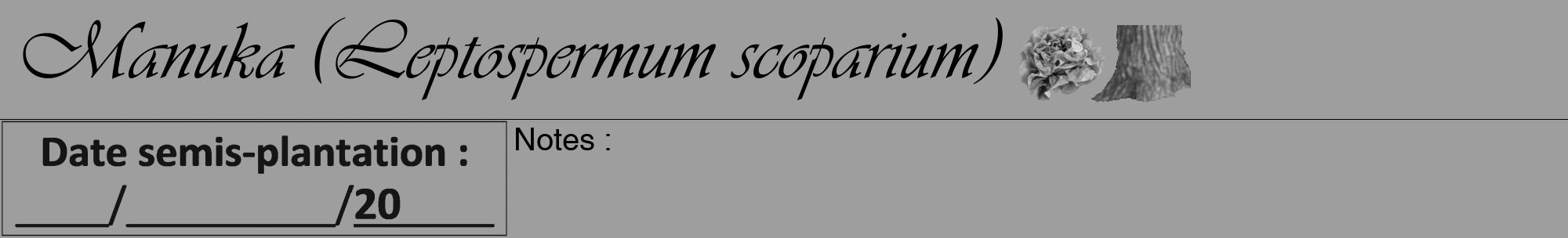 Étiquette de : Leptospermum scoparium - format a - style noire23viv avec comestibilité simplifiée