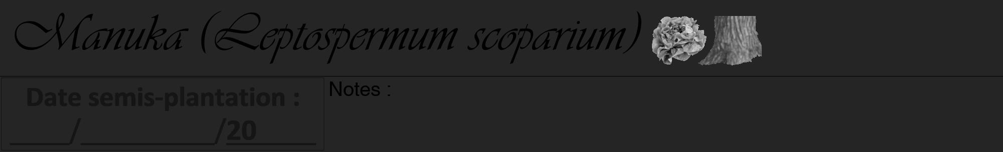 Étiquette de : Leptospermum scoparium - format a - style noire47viv avec comestibilité simplifiée