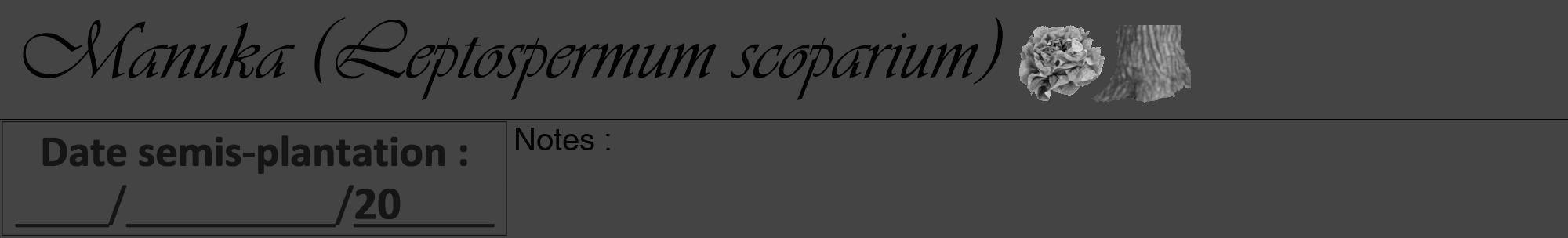 Étiquette de : Leptospermum scoparium - format a - style noire48viv avec comestibilité simplifiée
