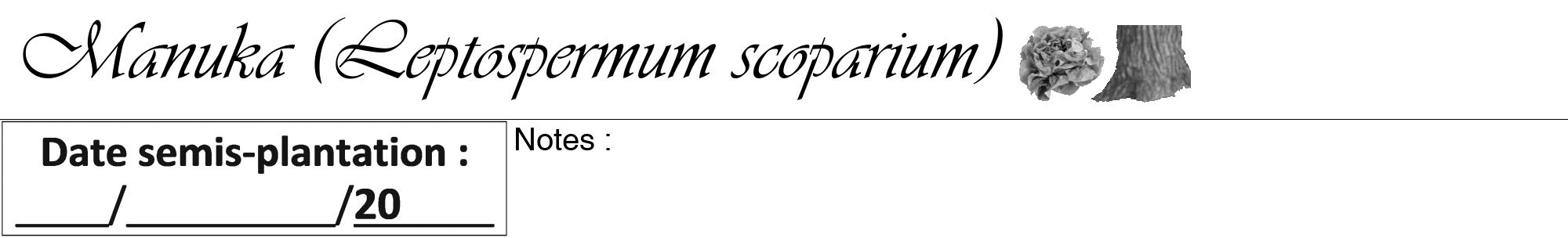 Étiquette de : Leptospermum scoparium - format a - style noire60viv avec comestibilité simplifiée