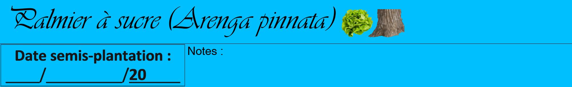 Étiquette de : Arenga pinnata - format a - style noire2viv avec comestibilité simplifiée