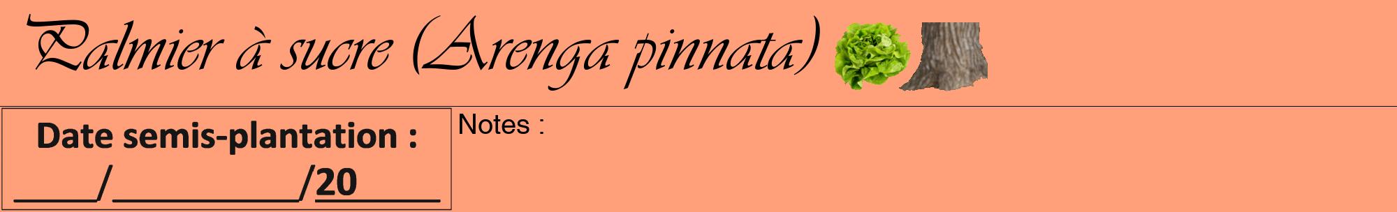 Étiquette de : Arenga pinnata - format a - style noire39viv avec comestibilité simplifiée