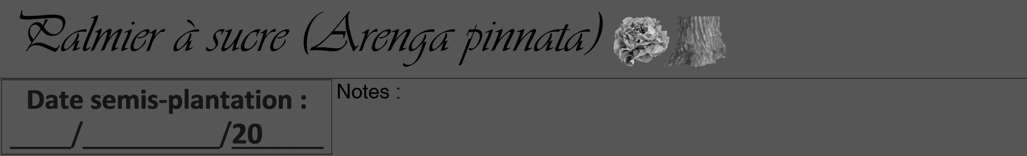 Étiquette de : Arenga pinnata - format a - style noire45viv avec comestibilité simplifiée