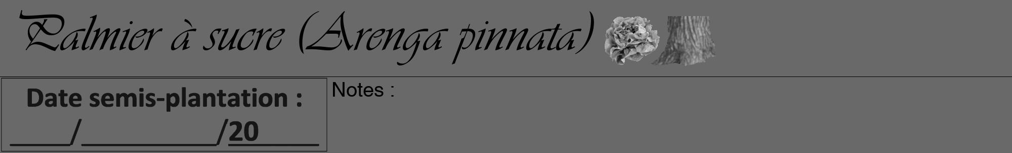 Étiquette de : Arenga pinnata - format a - style noire51viv avec comestibilité simplifiée