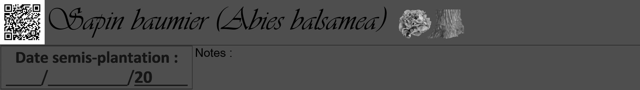 Étiquette de : Abies balsamea - format a - style noire33viv avec qrcode et comestibilité simplifiée