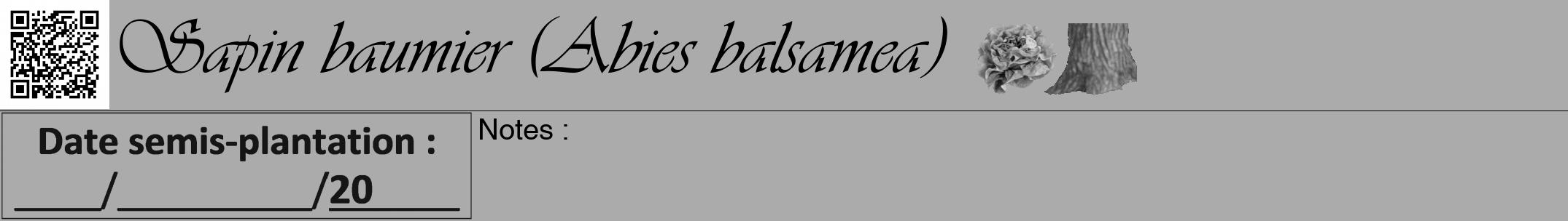 Étiquette de : Abies balsamea - format a - style noire37simpleviv avec qrcode et comestibilité simplifiée