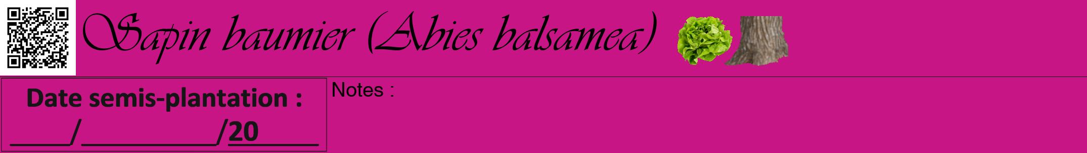 Étiquette de : Abies balsamea - format a - style noire45viv avec qrcode et comestibilité simplifiée