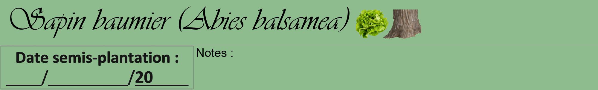Étiquette de : Abies balsamea - format a - style noire13viv avec comestibilité simplifiée