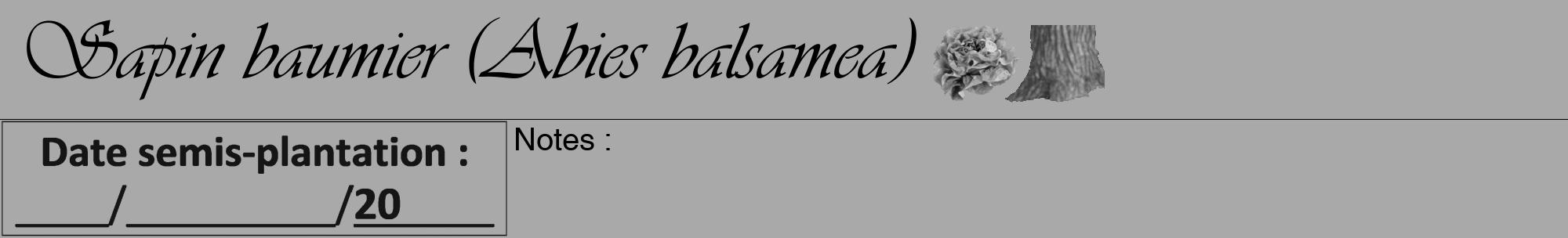 Étiquette de : Abies balsamea - format a - style noire13viv avec comestibilité simplifiée