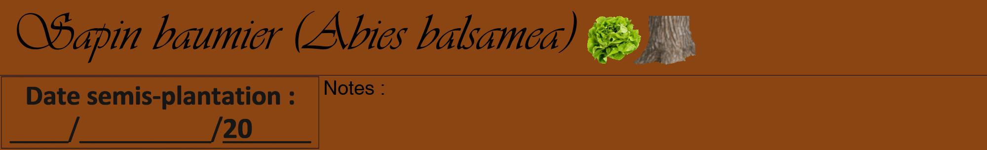 Étiquette de : Abies balsamea - format a - style noire30viv avec comestibilité simplifiée