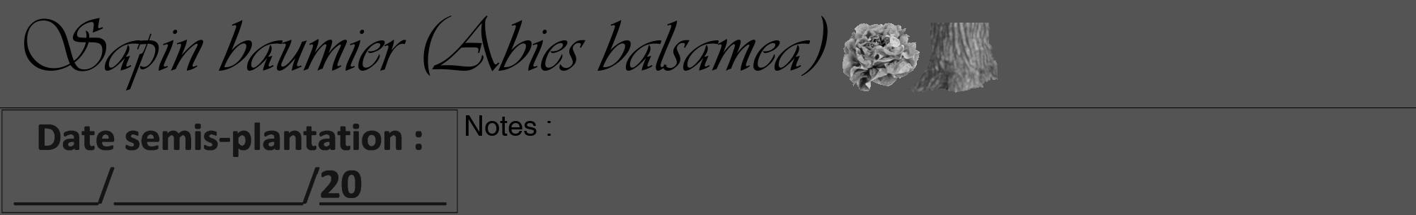 Étiquette de : Abies balsamea - format a - style noire30viv avec comestibilité simplifiée