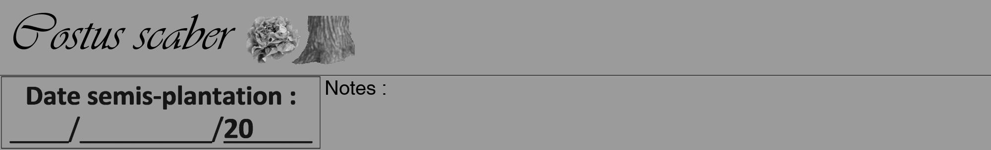 Étiquette de : Costus scaber - format a - style noire52viv avec comestibilité simplifiée