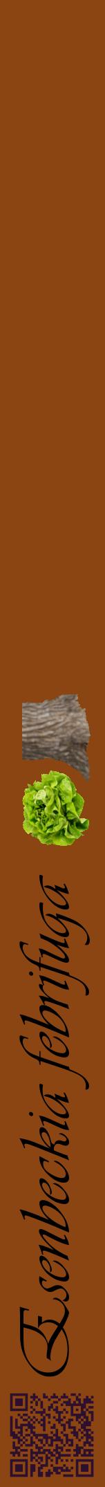 Étiquette de : Esenbeckia febrifuga - format a - style noire30viv avec qrcode et comestibilité simplifiée