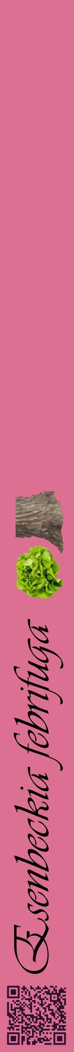 Étiquette de : Esenbeckia febrifuga - format a - style noire44viv avec qrcode et comestibilité simplifiée