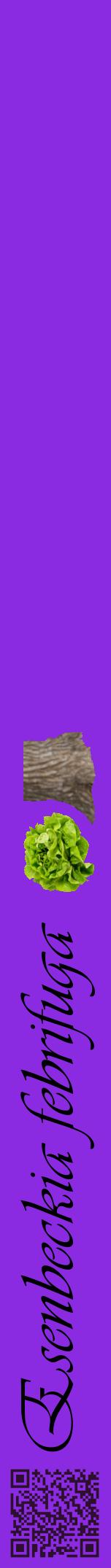 Étiquette de : Esenbeckia febrifuga - format a - style noire49viv avec qrcode et comestibilité simplifiée