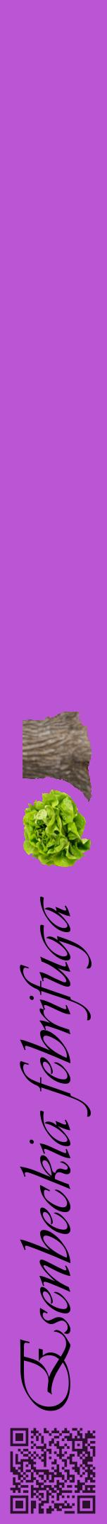 Étiquette de : Esenbeckia febrifuga - format a - style noire50viv avec qrcode et comestibilité simplifiée