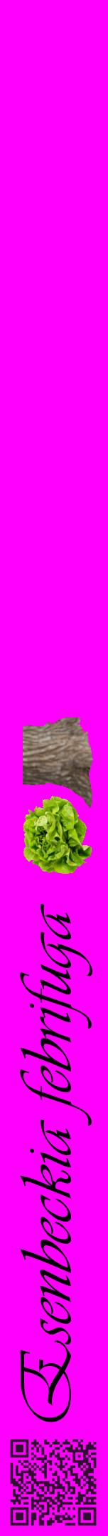 Étiquette de : Esenbeckia febrifuga - format a - style noire51viv avec qrcode et comestibilité simplifiée