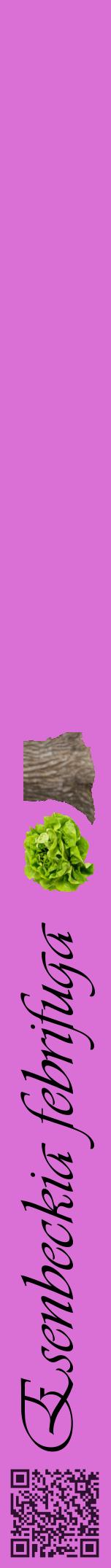 Étiquette de : Esenbeckia febrifuga - format a - style noire52viv avec qrcode et comestibilité simplifiée
