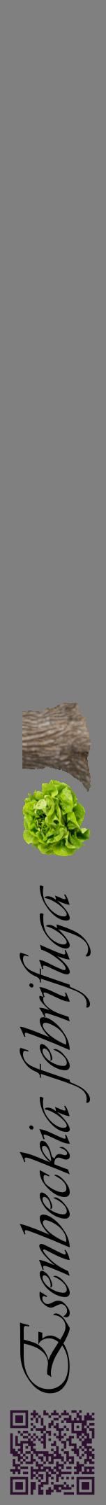 Étiquette de : Esenbeckia febrifuga - format a - style noire57viv avec qrcode et comestibilité simplifiée
