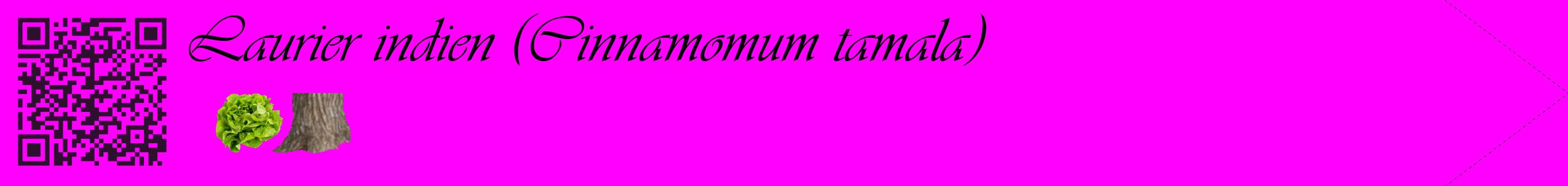 Étiquette de : Cinnamomum tamala - format c - style noire51simple_basique_basiqueviv avec qrcode et comestibilité simplifiée